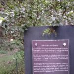 Evento Recicla Leitores no Solar do Jambeiro (Niterói) - Dados históricos
